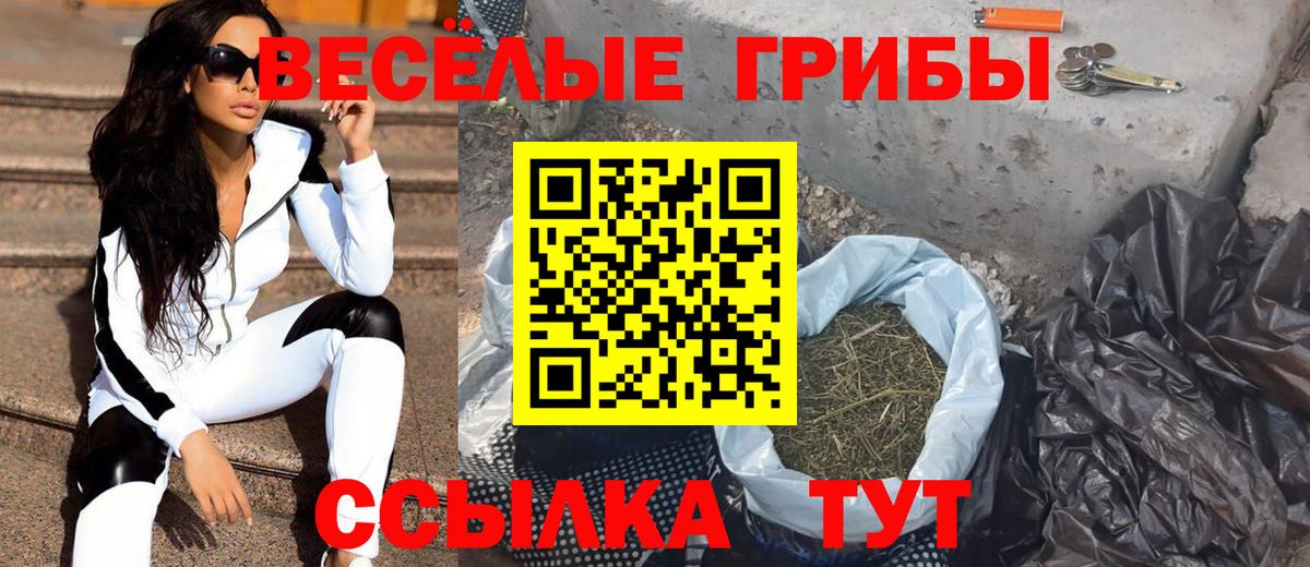 Чусовой  дарнет шоп  Вход с VPN  Галлюциногенные грибы прущие грибы  Псилоцибиновые грибы мицелий 