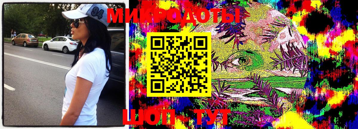 Галлюциногенные грибы Psilocybe Чусовой
